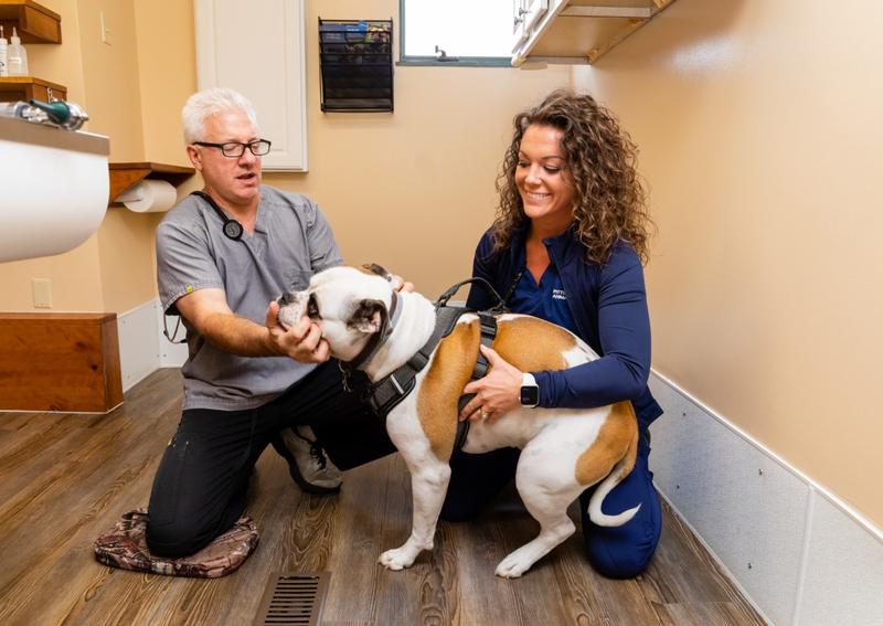 to Pittsburgh East Animal Hospital!